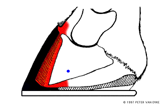 Heart Bar Shoe Animation